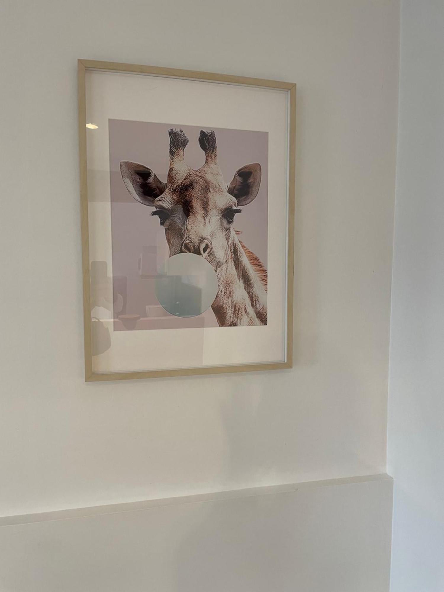 Appartamento Le Cocon De Beauval Châteauvieux Esterno foto